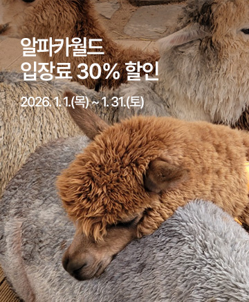 d80722d814b5c17dd7ea5a6819224fab_1767083063_4336.jpg d80722d814b5c17dd7ea5a6819224fab_1767083063_4336.jpg